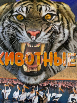 Элизабет Крэнфорд: Животные. Виртуальная реальность