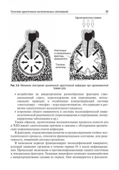 Дурново, Успенская, Мишина: Стоматология. Учебник