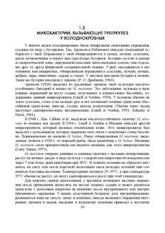 Гулюкин, Клименко, Овдиенко: Микобактерии и микобактериальные инфекции животных