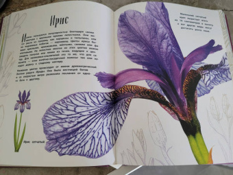 Бен Хоар: Чудеса природы. Энциклопедия