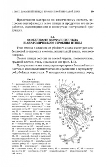 Позняковский, Мотовилов, Булатов: Товароведение и экспертиза мяса птицы. Качество и безопасность. Учебное пособие. СПО