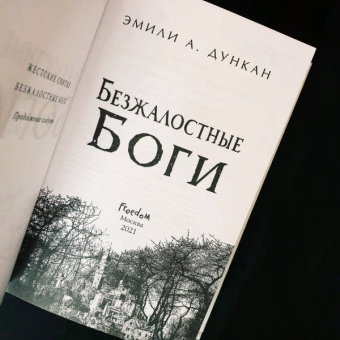 Эмили Дункан: Безжалостные боги (#2)
