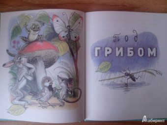 Владимир Сутеев: Загадочные истории