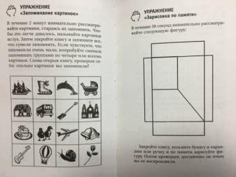 Антон Могучий: Большой тренажер мозга на основе методик Келли и Шульте. Более 100 упражнений для всех видов памяти