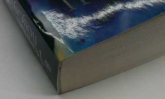 Джена Шоуолтер: Темный поцелуй