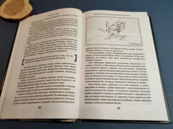 Маркус Шварц: Когда насекомые ползают по трупам. Как энтомолог помогает раскрывать преступления