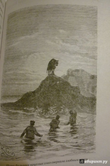 Рид Майн: Пиратский остров. Молодые невольники