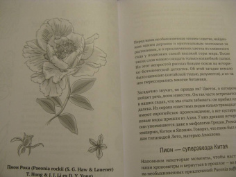 Катя Астафьефф: Невероятные приключения растений-путешественников