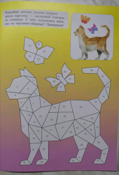 Котята и кошки