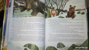 Квантик. Альманах для любознательных. Выпуск 11
