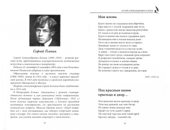 СовременникЪ. Выпуск № 16 (15), 2020 г.