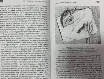 Марк Бертнесс: Краткая естественная история цивилизации