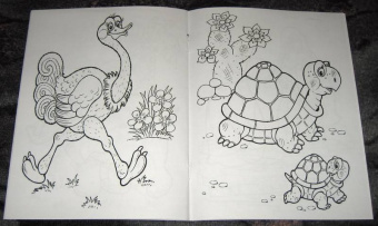 Татьяна Коваль: Живая планета