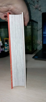 Масаси Кисимото: Naruto. Наруто. Книга 3. Верный путь