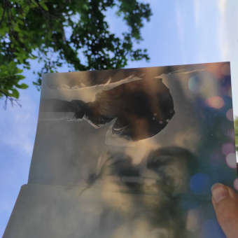 Анна Джейн: Мой идеальный смерч