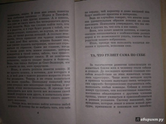 Мария Солодова: Чего хочет ваша кошка