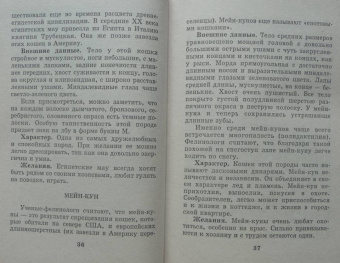 Мария Солодова: Чего хочет ваша кошка