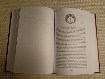 Глен Кук: Жар сумрачной стали. Злобные чугунные небеса