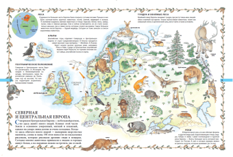 Мир животных в картинках