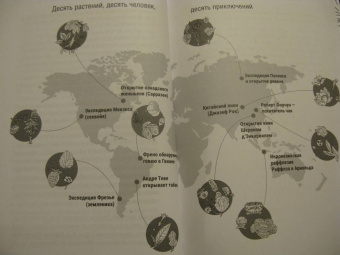 Катя Астафьефф: Невероятные приключения растений-путешественников