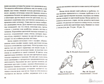 Джон Леббок: Красоты природы и ее чудеса