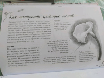 Ройг, Гаспар, Санчес: Типичные ошибки художников. Альбом для скетчинга