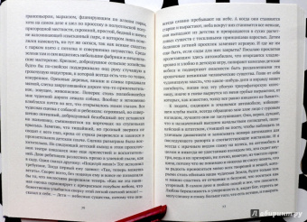 Вальзер, Шишкин: Прогулка