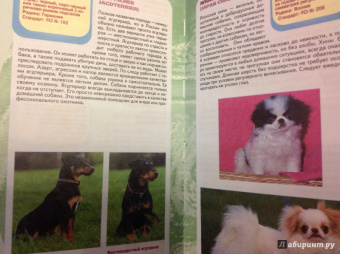 Эва-Мария Кремер: Самые популярные породы собак