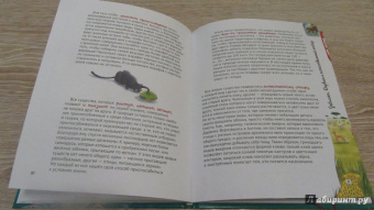 Альтер, Кан: Удивительная генетика