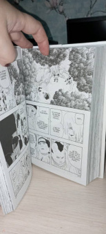 Масаси Кисимото: Naruto. Наруто. Книга 7. Наследие