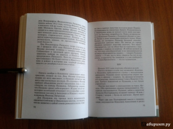 Владимир Новиков: Пушкин