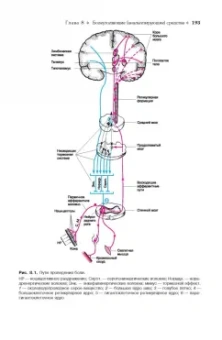 Дмитрий Харкевич: Фармакология. Учебник