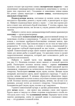 Гизатуллина, Макарова, Чернышова: Позвоночные животные. Учебное пособие