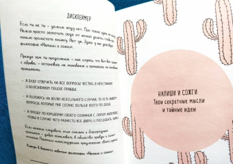 Рианнон Шоув: Напиши и сожги. Твои секретные мысли и тайные идеи