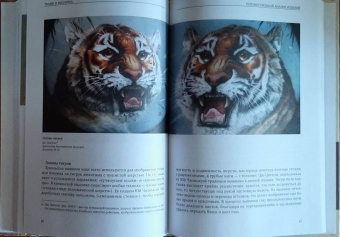 Ван, Сюй: Ткани и вышивка