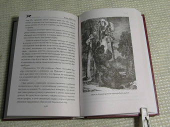 Рид Майн: Письмо и пуля