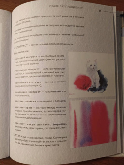Кристина Пуршина: Ежедневный скетчинг. Развиваем привычку рисовать каждый день
