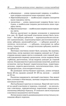 Попова, Попов, Харахонова: Древесные растения лесных, защитных и зеленых насаждений. Учебное пособие для СПО