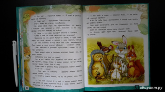 Альберт Иванов: Открой книгу! Приключения Хомы и Суслика