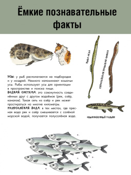 Эмма Янссон: Рыбы