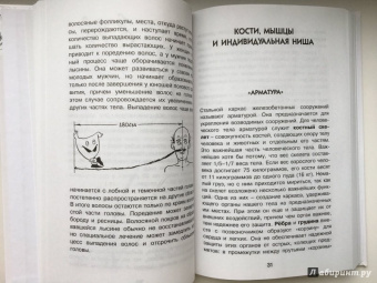 Борис Сергеев: Как устроен человек