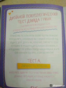 Леди Гэ: #КОТИКИ. Главная книга в текстах, иллюстрациях
