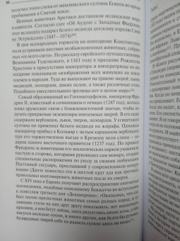 Владислав Даркевич: История средневековых развлечений. От куртуазных увеселений до карнавалов и праздников дураков