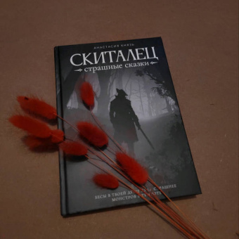 Анастасия Князь: Скиталец. Страшные сказки