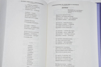 Марина Цветаева: Волшебный фонарь