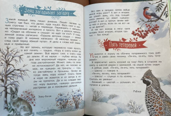 Николай Сладков: Лесные сказки