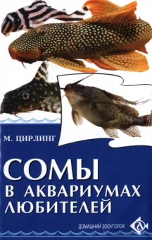 Михаил Цирлинг: Сомы в аквариумах любителей