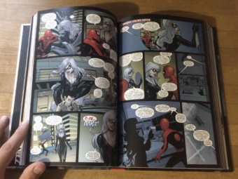 Ван, Келли, Гуггенхайм: Человек-Паук. Новые способы жить