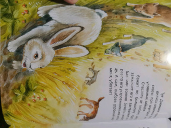 Сергей Духин: Приключения лисёнка Джимми. Маленький храбрец