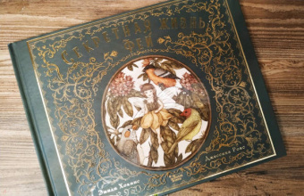 Секретная жизнь фей